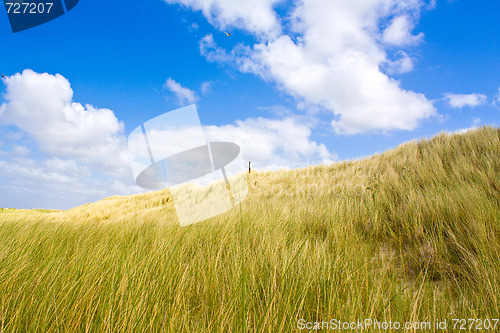 Image of Dunes