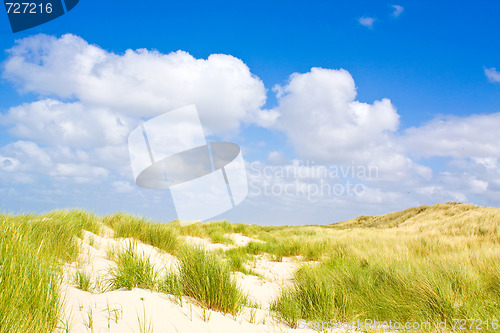 Image of Dunes