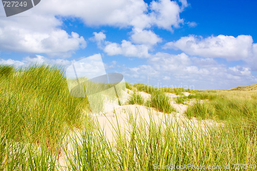 Image of Dunes