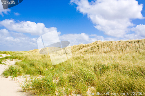 Image of Dunes