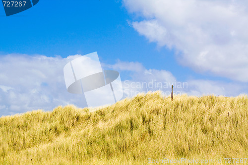 Image of Dunes