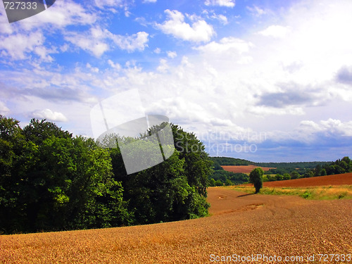 Image of Field