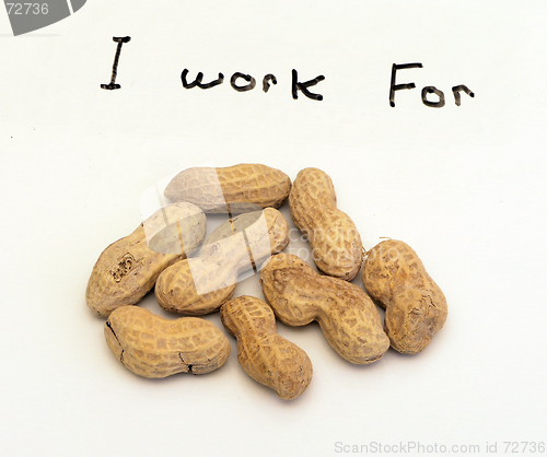 Image of Working for Peanuts