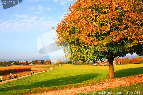 Image of Autumn