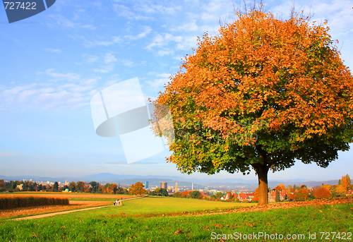 Image of Autumn