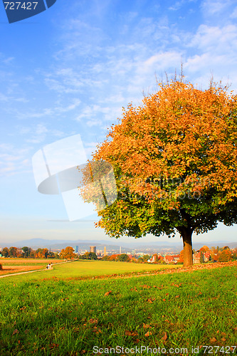 Image of Autumn