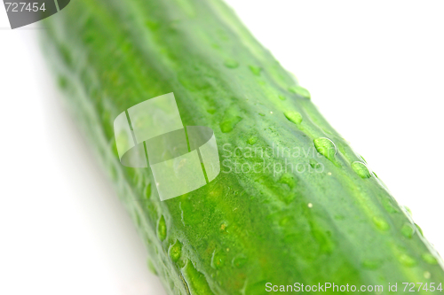 Image of Cucumber