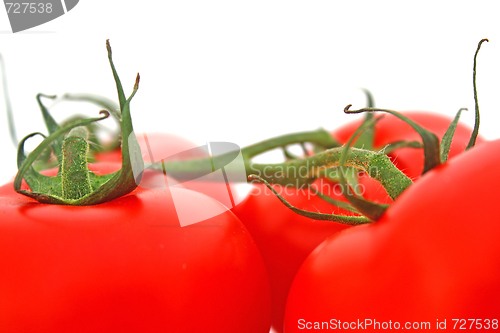 Image of Tomatos