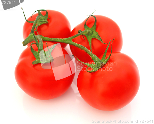 Image of Tomatos