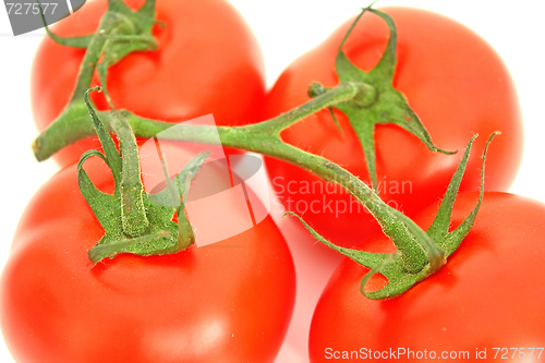 Image of Tomatos