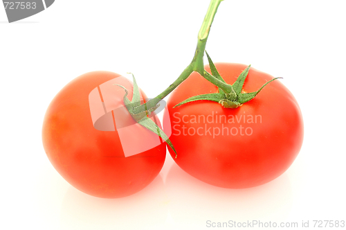 Image of Tomatos