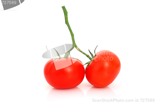 Image of Tomatos