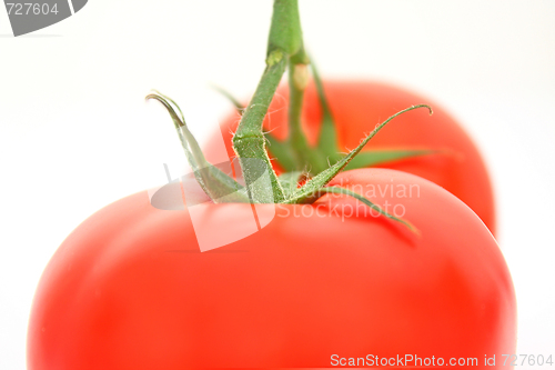 Image of Tomatos