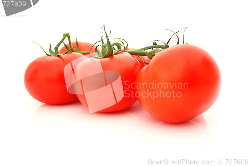 Image of Tomatos