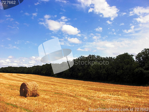 Image of Field