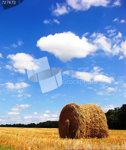 Image of Field