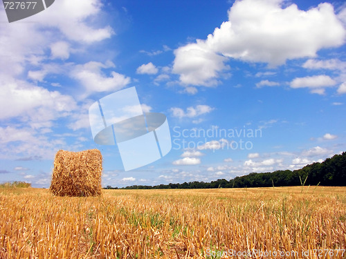 Image of Field