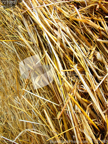 Image of Field