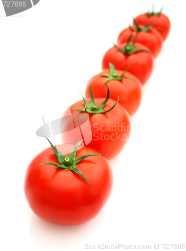 Image of Tomatos