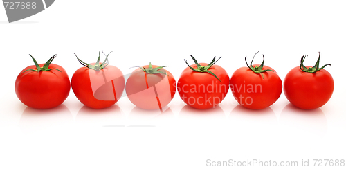 Image of Tomatos