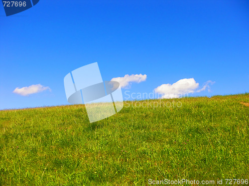 Image of summer