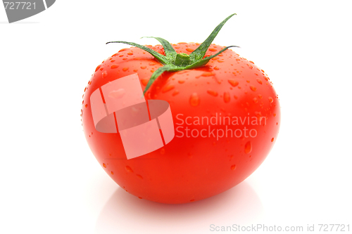 Image of Tomatos