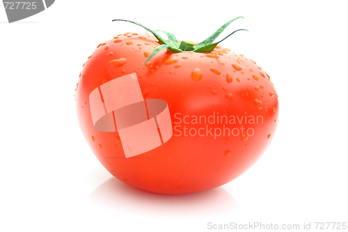 Image of Tomatos