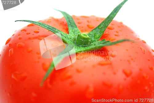 Image of Tomatos