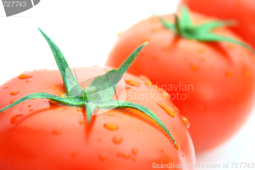 Image of Tomatos