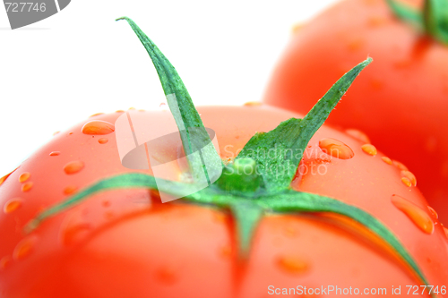 Image of Tomatos