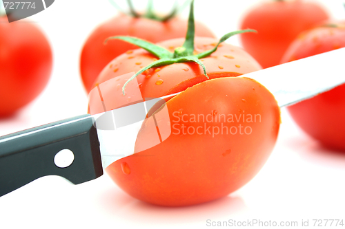 Image of Tomatos