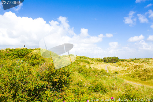 Image of Dunes