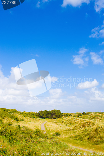 Image of Dunes