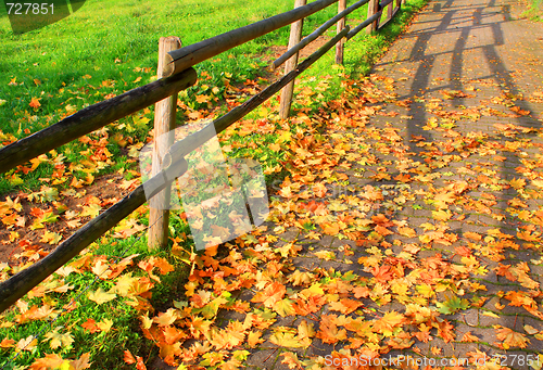 Image of Autumn