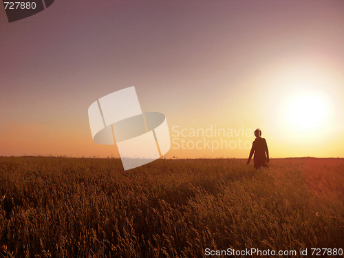Image of Field