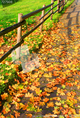 Image of Autumn