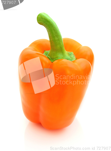 Image of Paprika