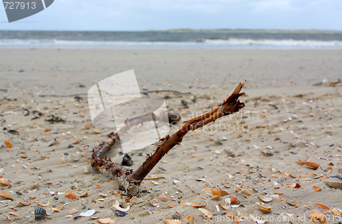Image of Beach