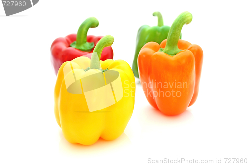 Image of Paprika