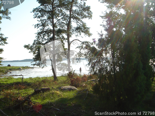 Image of woman in the sea l