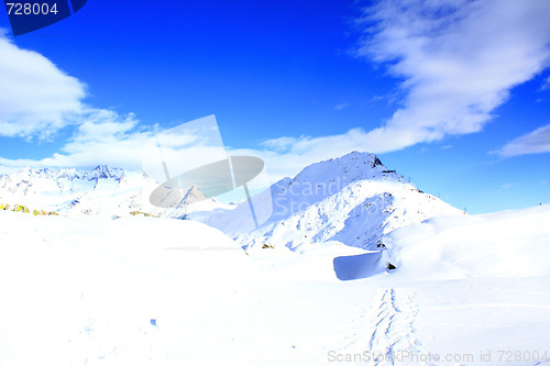Image of Winter