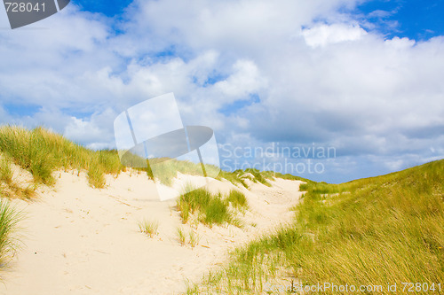 Image of Dunes