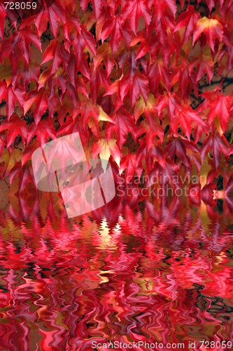 Image of Autumn