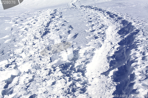 Image of Winter