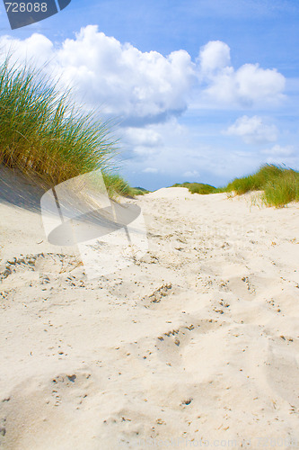 Image of Dunes