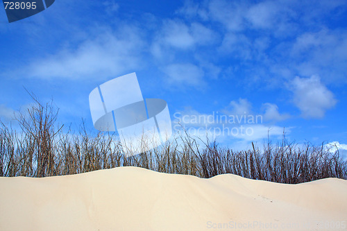 Image of Dunes