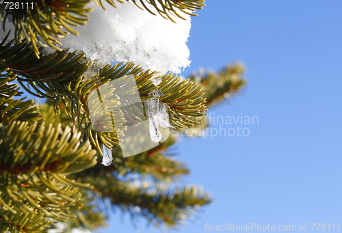 Image of Winter