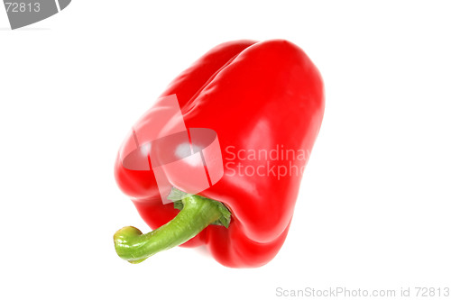 Image of Red Bell Pepper