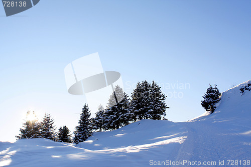 Image of Winter