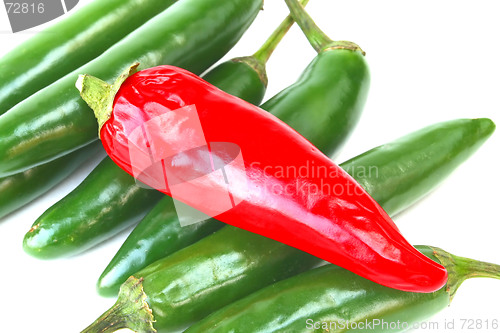 Image of Hot Peppers